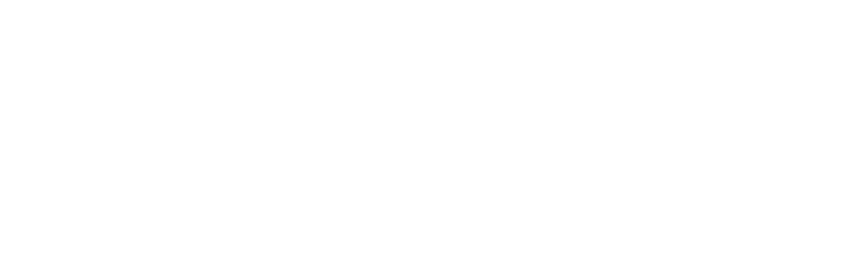 Spoedontruimingservice