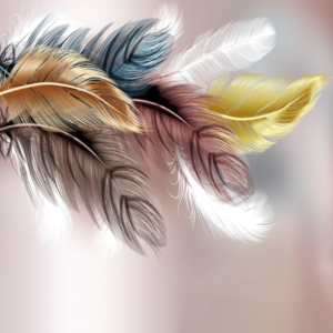 Tableau décoratif Plumes multicolores : Vibrance sur toile – Image 2